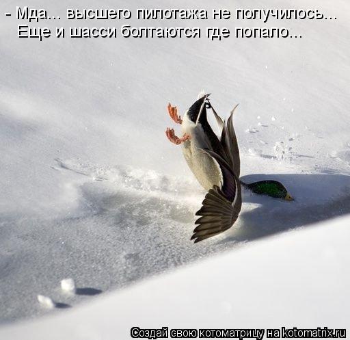 - Мда... высшего пилотажа не получилось... Еще и шасси болтаются где попало...... Котоматрица: - Мда... высшего пилотажа не получилось... Еще и шасси болтаются где попало...