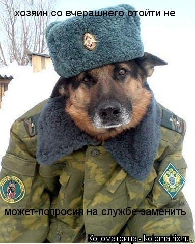 Котоматрица: хозяин со вчерашнего отойти не  может-попросил на службе заменить