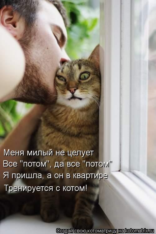 Котоматрица: Меня милый не целует Все "потом", да все "потом" Я пришла, а он в квартире Тренируется с котом!