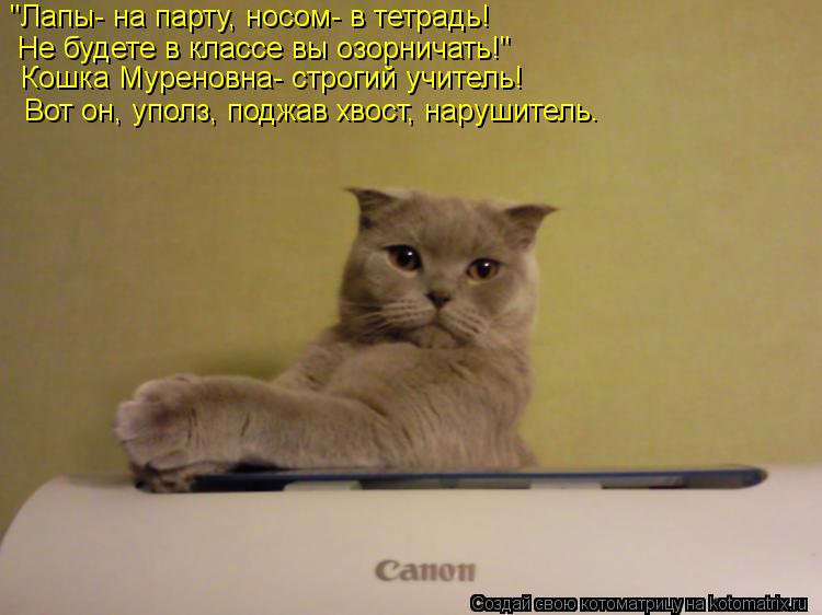 Котоматрица: "Лапы- на парту, носом- в тетрадь! Не будете в классе вы озорничать!" Кошка Муреновна- строгий учитель! Вот он, уполз, поджав хвост, нарушитель.