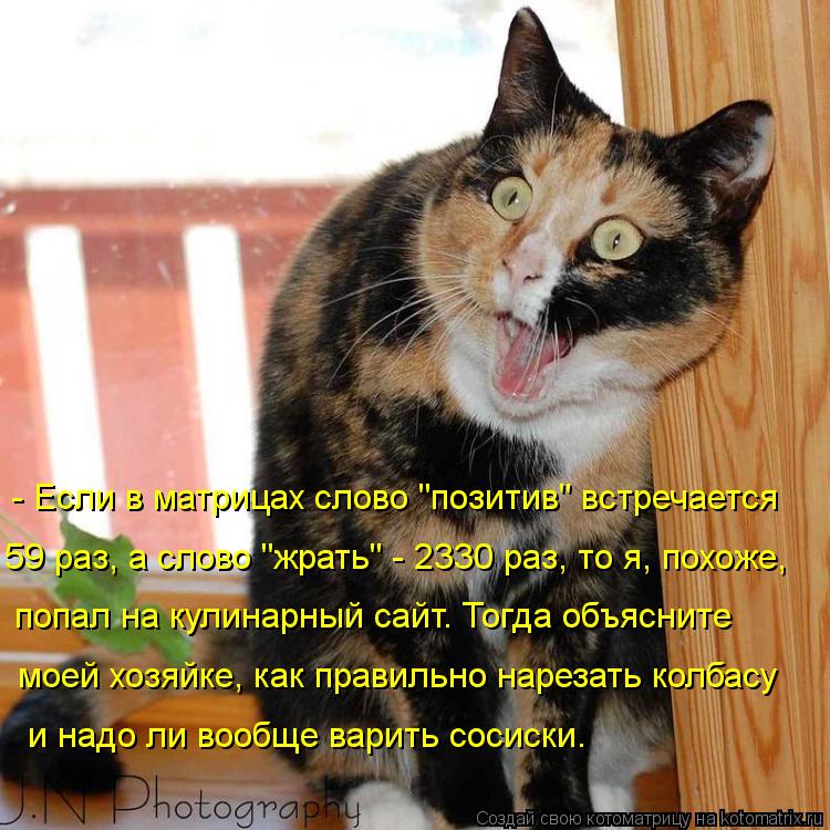 - Если в матрицах слово "позитив" встречается 59 раз, а слово "жрать" - 2330 раз, то я, похоже, попал... Котоматрица: - Если в матрицах слово "позитив" встречается 59 раз, а слово "жрать" - 2330 раз, то я, похоже, попал на кулинарный сайт. Тогда объясните моей хозяй