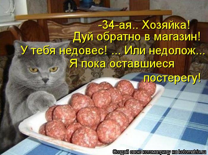 -34-ая.. Хозяйка! Дуй обратно в магазин! Я пока оставшиеся У тебя недовес! ... Или недолож... постере... Котоматрица: -34-ая.. Хозяйка! Дуй обратно в магазин! Я пока оставшиеся У тебя недовес! ... Или недолож... постерегу!