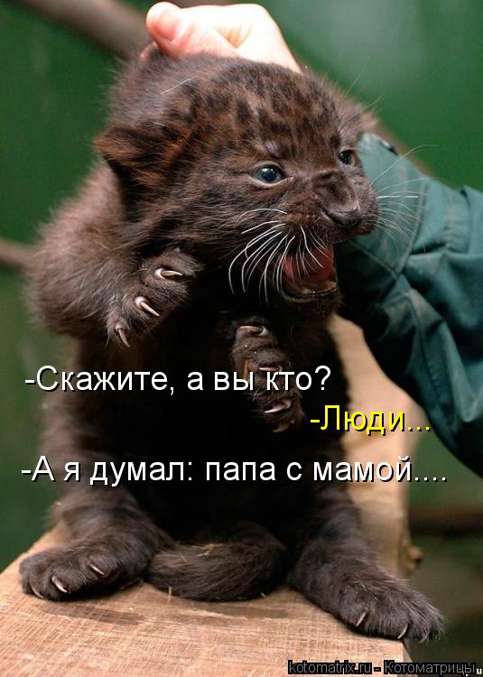 -Люди... -Скажите, а вы кто? -А я думал: папа с мамой....... Котоматрица: -Люди... -Скажите, а вы кто? -А я думал: папа с мамой....