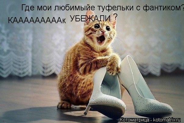 Где мои любимыйе туфельки с фантиком? КАААААААААк УБЕЖАЛИ ?... Котоматрица: Где мои любимыйе туфельки с фантиком? КАААААААААк УБЕЖАЛИ ?
