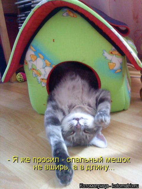 - Я же просил - спальный мешок не вширь, а в длину...... Котоматрица: - Я же просил - спальный мешок не вширь, а в длину...