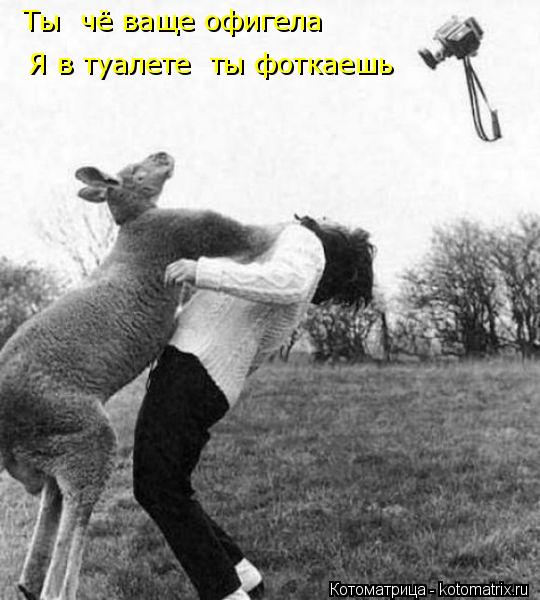 Ты чё ваще офигела Я в туалете ты фоткаешь... Котоматрица: Ты чё ваще офигела Я в туалете ты фоткаешь