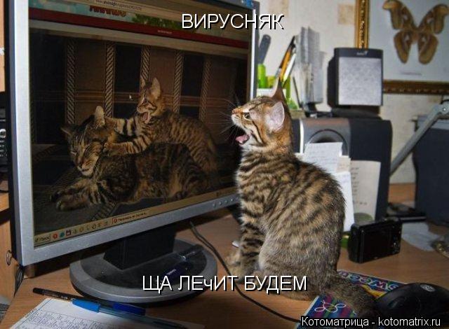 ВИРУСНЯК ЩА ЛЕчИТ БУДЕМ... Котоматрица: ВИРУСНЯК ЩА ЛЕчИТ БУДЕМ