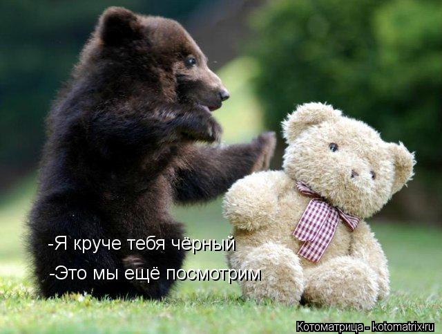 -Я круче тебя чёрный -Это мы ещё посмотрим... Котоматрица: -Я круче тебя чёрный -Это мы ещё посмотрим