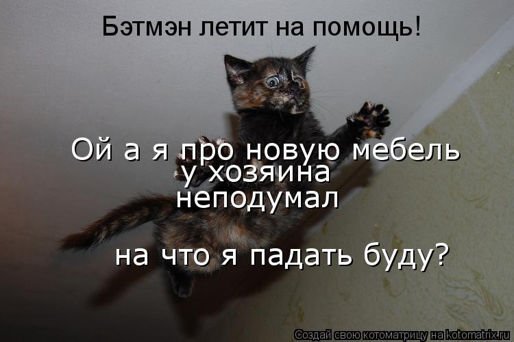 Бэтмэн летит на помощь! Ой а я про новую мебель неподумал на что я падать буду? у хозяина... Котоматрица: Бэтмэн летит на помощь! Ой а я про новую мебель неподумал на что я падать буду? у хозяина