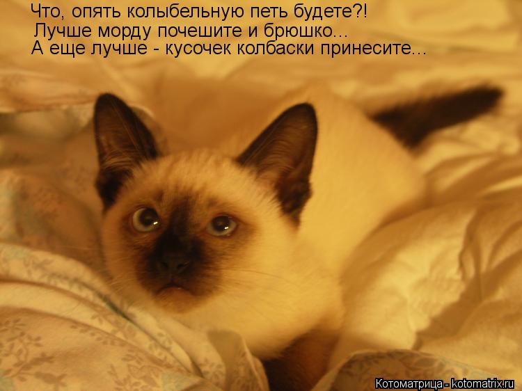 Что, опять колыбельную петь будете?! Лучше морду почешите и брюшко... А еще лучше - кусочек колбаски... Котоматрица: Что, опять колыбельную петь будете?! Лучше морду почешите и брюшко... А еще лучше - кусочек колбаски принесите...