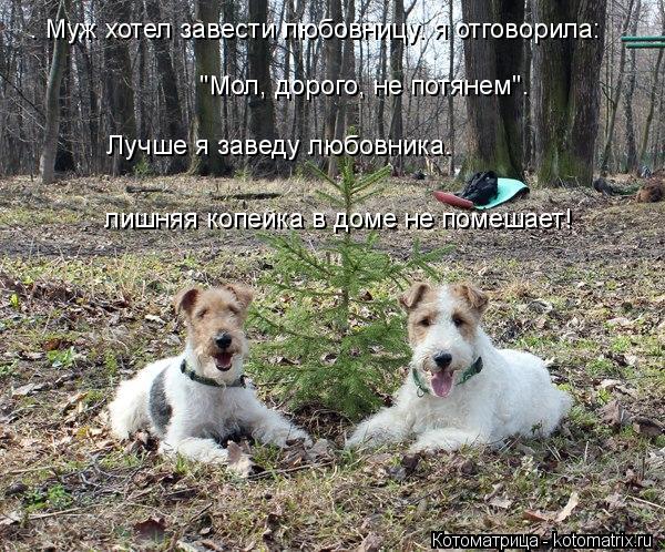 – Муж хотел завести любовницу… я отговорила: "Мол, дорого, не потянем"… Лучше я заведу любовника… ли... Котоматрица: – Муж хотел завести любовницу… я отговорила: "Мол, дорого, не потянем"… Лучше я заведу любовника… лишняя копейка в доме не помешает!