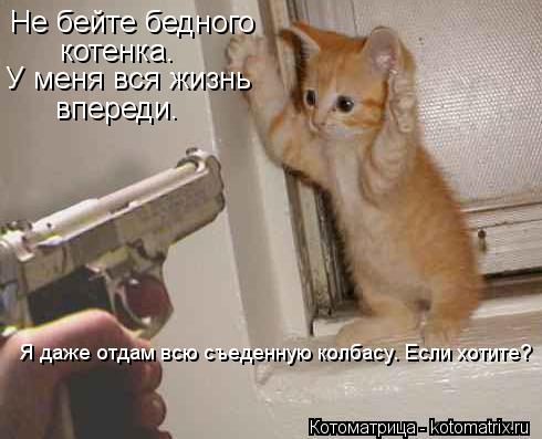 Не бейте бедного котенка. У меня вся жизнь впереди. Я даже отдам всю съеденную колбасу. Если хотите?... Котоматрица: Не бейте бедного котенка. У меня вся жизнь впереди. Я даже отдам всю съеденную колбасу. Если хотите?
