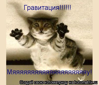 Гравитация!!!!!! Мяяяяяяяяяяяяяяяяяяяяу!... Котоматрица: Гравитация!!!!!! Мяяяяяяяяяяяяяяяяяяяяу!