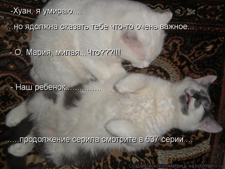 -Хуан, я умираю.... ...но ядолжна сказать тебе что-то очень важное... - О, Мария, милая...Что???!!! -... Котоматрица: -Хуан, я умираю.... ...но ядолжна сказать тебе что-то очень важное... - О, Мария, милая...Что???!!! - Наш ребенок............... .....продолжение серила смотрит