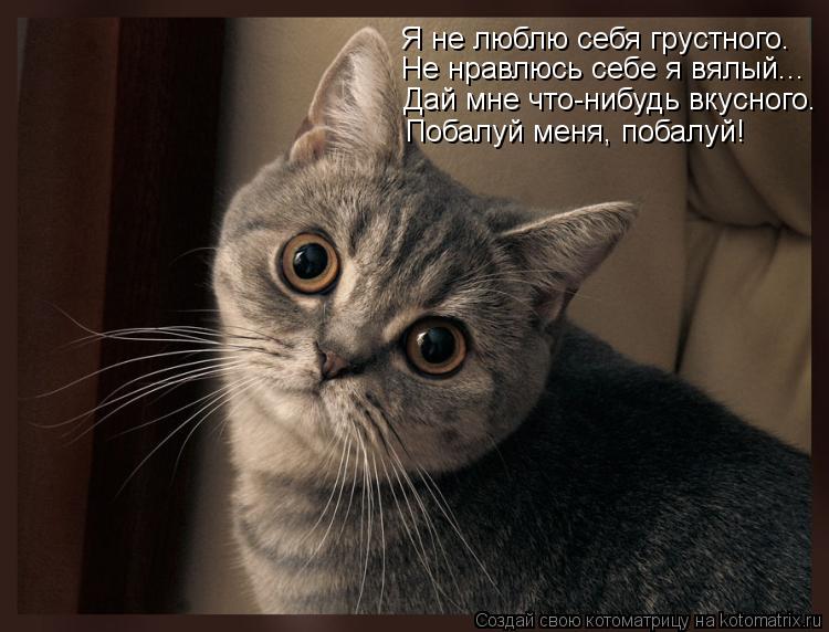 Я не люблю себя грустного. Дай мне что-нибудь вкусного. Побалуй меня, побалуй! Не нравлюсь себе я вял... Котоматрица: Я не люблю себя грустного. Дай мне что-нибудь вкусного. Побалуй меня, побалуй! Не нравлюсь себе я вялый...