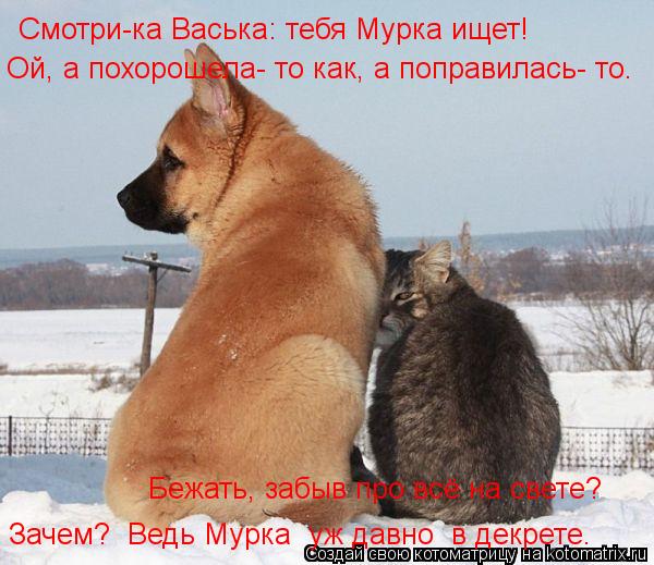 Смотри-ка Васька: тебя Мурка ищет! Ой, а похорошела- то как, а поправилась- то… Бежать, забыв про вс... Котоматрица: Смотри-ка Васька: тебя Мурка ищет! Ой, а похорошела- то как, а поправилась- то… Бежать, забыв про всё на свете? Зачем? Ведь Мурка уж давно в д