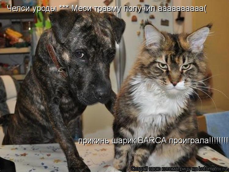 прикинь шарик BARCA проиграла!!!!!!!! Челси уроды *** Меси травму получил аааааааааа(... Котоматрица: прикинь шарик BARCA проиграла!!!!!!!! Челси уроды *** Меси травму получил аааааааааа(