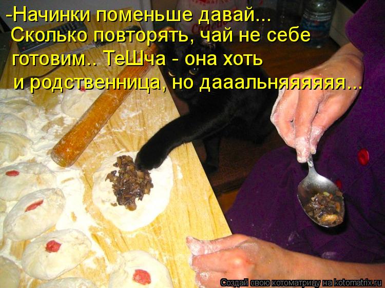 -Начинки поменьше давай... Сколько повторять, чай не себе готовим.. ТеШча - она хоть и родственниц... Котоматрица: -Начинки поменьше давай... Сколько повторять, чай не себе готовим.. ТеШча - она хоть и родственница, но дааальняяяяяя...