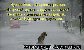 Чужая боль - дворняга грязная. Не трогай, детка, а вдруг заразная? Не гладь - испачкаешь ладошки.. З... Котоматрица: Чужая боль - дворняга грязная. Не трогай, детка, а вдруг заразная? Не гладь - испачкаешь ладошки.. Зачем? Иди другой дорожкой.