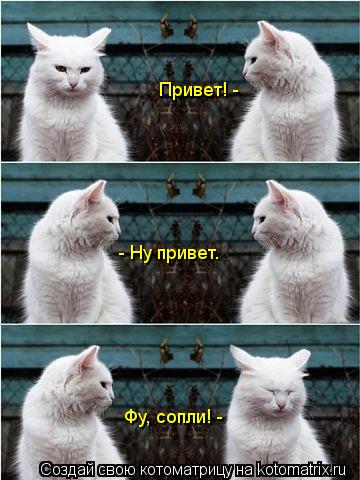 Котоматрица: Привет! - - Ну привет. Фу, сопли! -