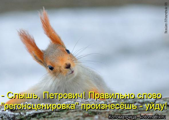 - Слышь, Петрович! Правильно слово "регонсценировка" произнесёшь - уйду!... Котоматрица: - Слышь, Петрович! Правильно слово "регонсценировка" произнесёшь - уйду!