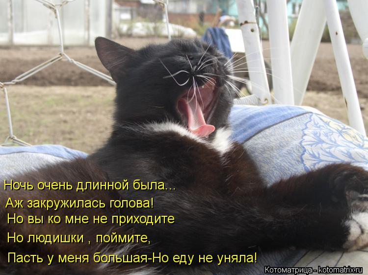 Котоматрица: Ночь очень длинной была... Аж закружилась голова! Но вы ко мне не приходите Но людишки , поймите, Пасть у меня большая-Но еду не уняла!