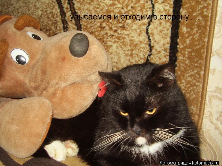 Котоматрица: улыбаемся и отходим в сторону.....