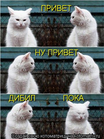 Котоматрица: ПРИВЕТ НУ ПРИВЕТ ПОКА   ДИБИЛ