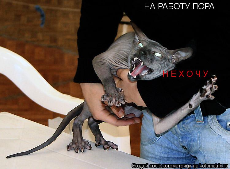 Котоматрица: НА РАБОТУ ПОРА Н Е Х О Ч У