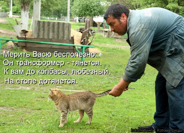 Мерить Васю бесполезно: Он трансформер - тянется. К вам до колбасы, любезный, На столе дотянется.... Котоматрица: Мерить Васю бесполезно: Он трансформер - тянется. К вам до колбасы, любезный, На столе дотянется.