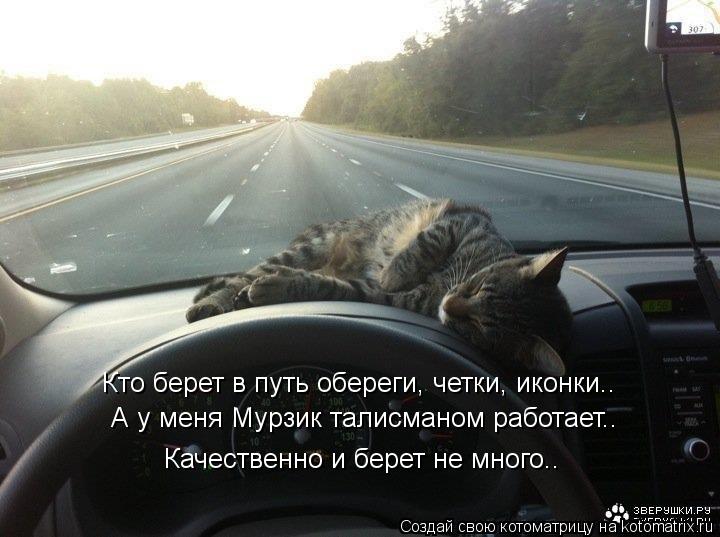 Кто берет в путь обереги, четки, иконки.. А у меня Мурзик талисманом работает.. Качественно и берет ... Котоматрица: Кто берет в путь обереги, четки, иконки.. А у меня Мурзик талисманом работает.. Качественно и берет не много..