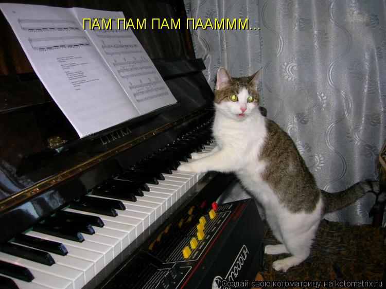 ПАМ ПАМ ПАМ ПААМММ...... Котоматрица: ПАМ ПАМ ПАМ ПААМММ...