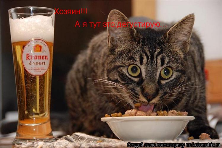 Хозяин!!! А я тут это,дегустирую...... Котоматрица: Хозяин!!! А я тут это,дегустирую...