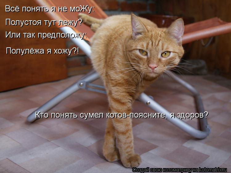 Всё понять я не моЖу: Полустоя тут лежу? Или так предположу: Полулёжа я хожу?! Кто понять сумел котов... Котоматрица: Всё понять я не моЖу: Полустоя тут лежу? Или так предположу: Полулёжа я хожу?! Кто понять сумел котов-поясните, я здоров?