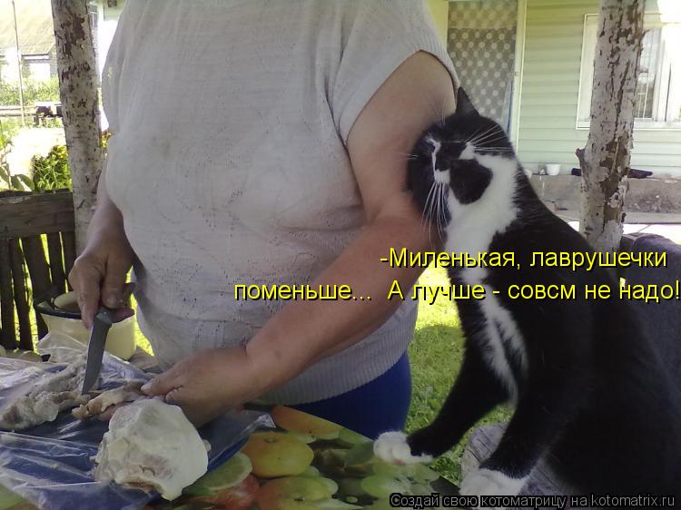 -Миленькая, лаврушечки поменьше... А лучше - совсм не надо!... Котоматрица: -Миленькая, лаврушечки поменьше... А лучше - совсм не надо!