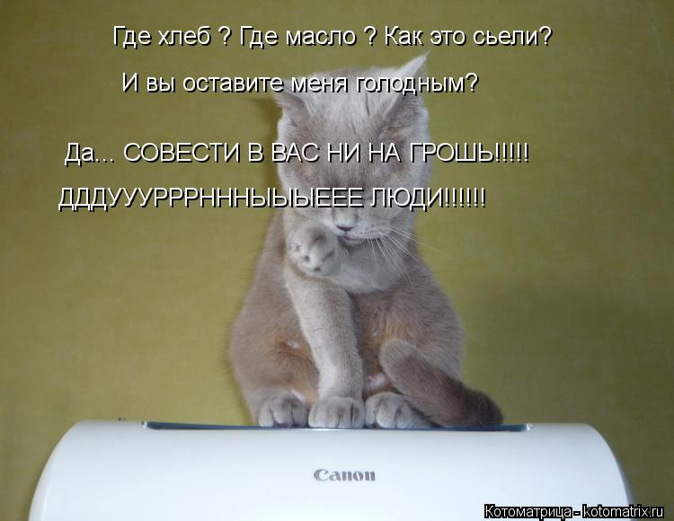 Где хлеб ? Где масло ? Как это сьели? И вы оставите меня голодным? Да... СОВЕСТИ В ВАС НИ НА ГРОШЬ!... Котоматрица: Где хлеб ? Где масло ? Как это сьели? И вы оставите меня голодным? Да... СОВЕСТИ В ВАС НИ НА ГРОШЬ!!!!! ДДДУУУРРРНННЫЫЫЕЕЕ ЛЮДИ!!!!!!