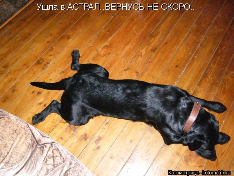 Ушла в АСТРАЛ..ВЕРНУСЬ НЕ СКОРО..... Котоматрица: Ушла в АСТРАЛ..ВЕРНУСЬ НЕ СКОРО..
