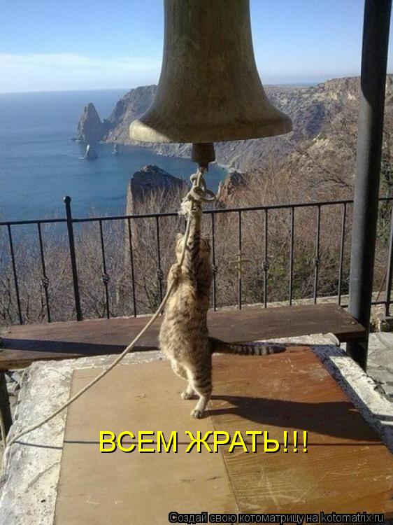 ВСЕМ ЖРАТЬ!!!... Котоматрица: ВСЕМ ЖРАТЬ!!!