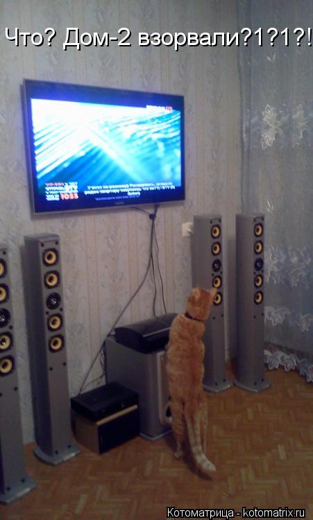 Что? Дом-2 взорвали?1?1?!... Котоматрица: Что? Дом-2 взорвали?1?1?!