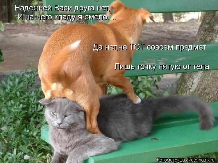 Котоматрица: Надежней Васи друга нет, И на него кладу я смело.... Да нет,не ТОТ совсем предмет, Лишь точку пятую от тела