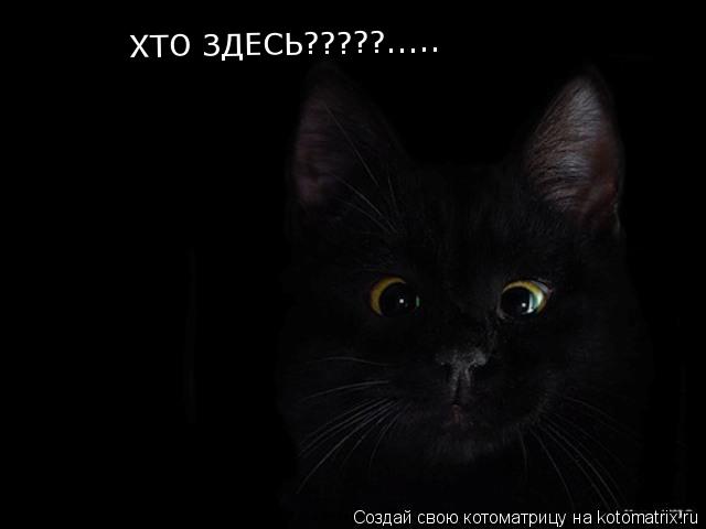 ХТО ЗДЕСЬ?????........ Котоматрица: ХТО ЗДЕСЬ?????.....