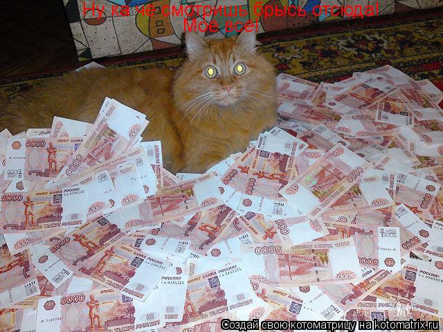 Ну ка чё смотришь брысь отсюда! Моё всё!... Котоматрица: Ну ка чё смотришь брысь отсюда! Моё всё!