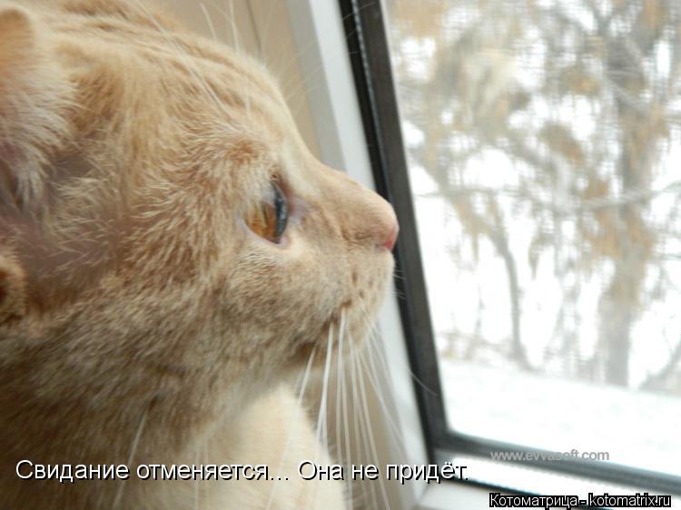 Свидание отменяется... Она не придёт.... Котоматрица: Свидание отменяется... Она не придёт.