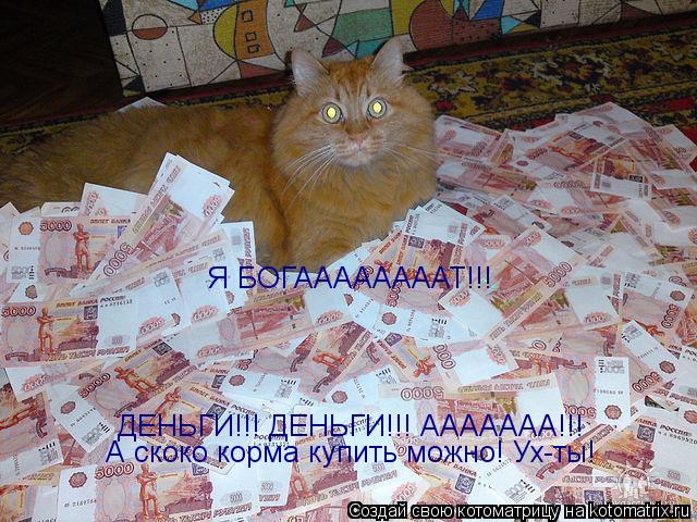 Котоматрица: ДЕНЬГИ!!! ДЕНЬГИ!!! ААААААА!!!  А скоко корма купить можно! Ух-ты! Я БОГААААААААТ!!!
