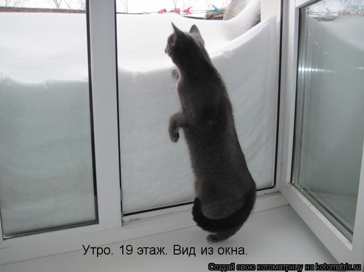 Котоматрица: Утро. 19 этаж. Вид из окна.