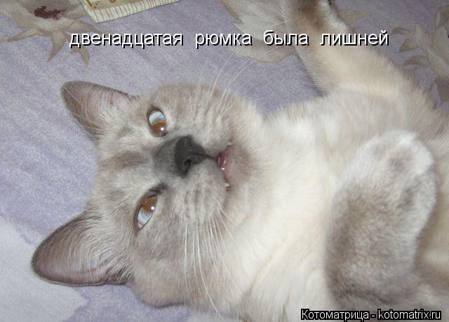 Котоматрица: двенадцатая  рюмка  была  лишней