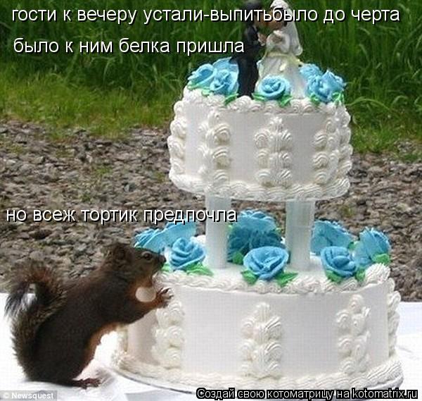 гости к вечеру устали-выпитьбыло до черта было к ним белка пришла но всеж тортик предпочла... Котоматрица: гости к вечеру устали-выпитьбыло до черта было к ним белка пришла но всеж тортик предпочла