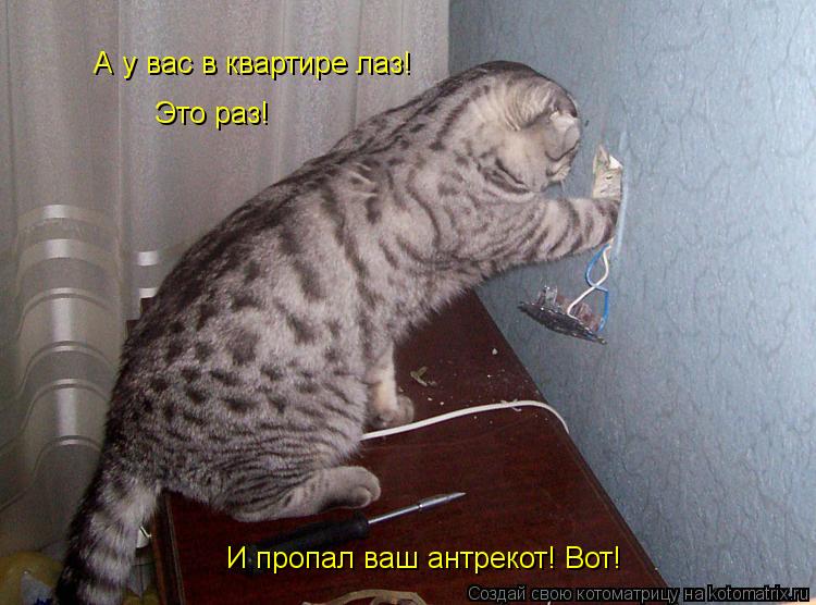 Котоматрица: А у вас в квартире лаз! Это раз! И пропал ваш антрекот! Вот!