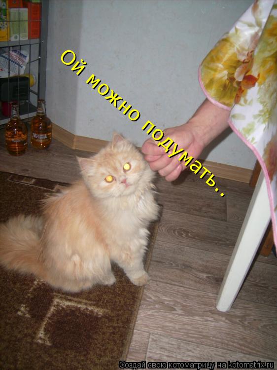 Котоматрица: Ой можно подумать..