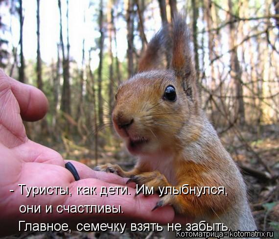 Котоматрица: - Туристы, как дети. Им улыбнулся,   они и счастливы. Главное, семечку взять не забыть.